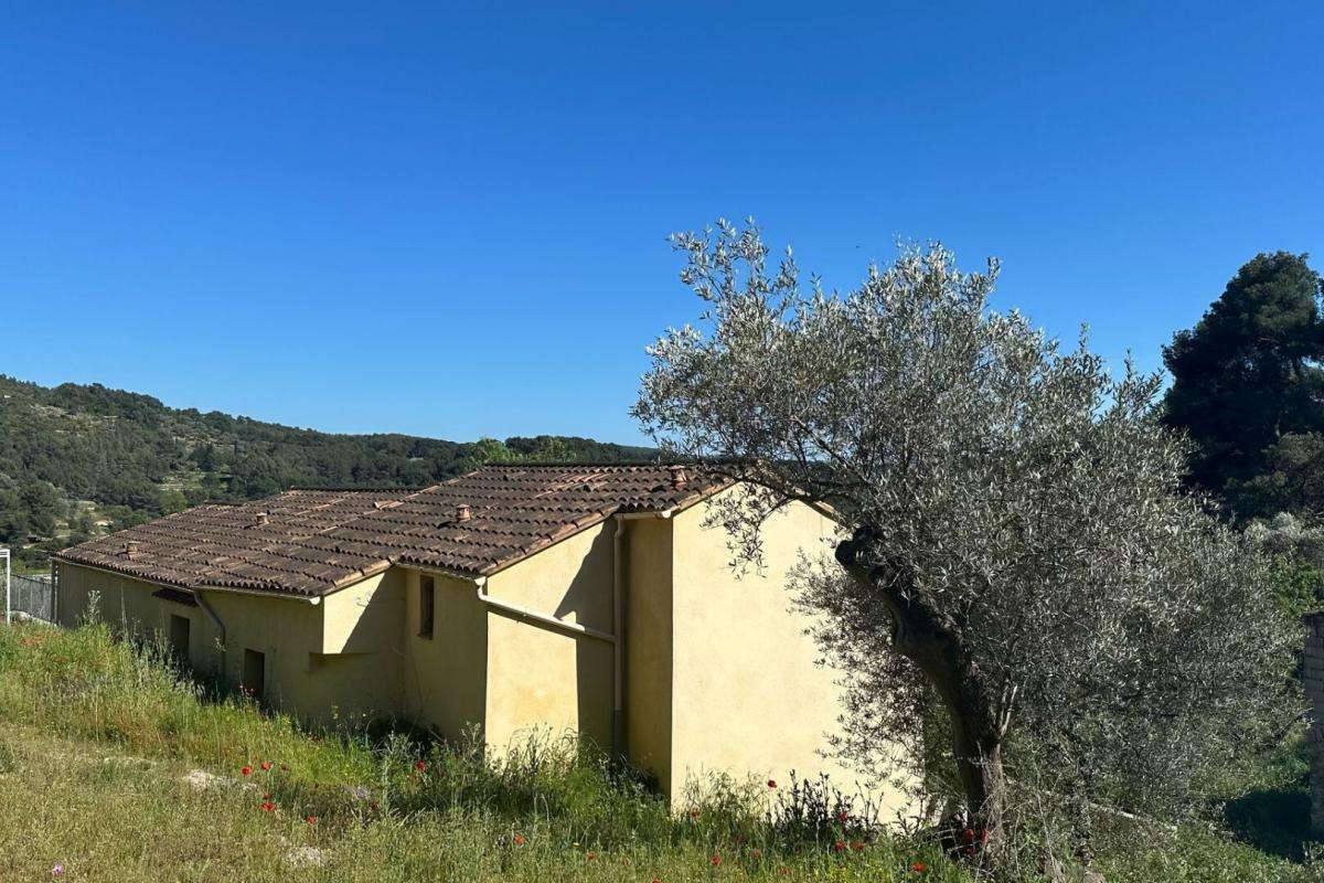 House Bandol
