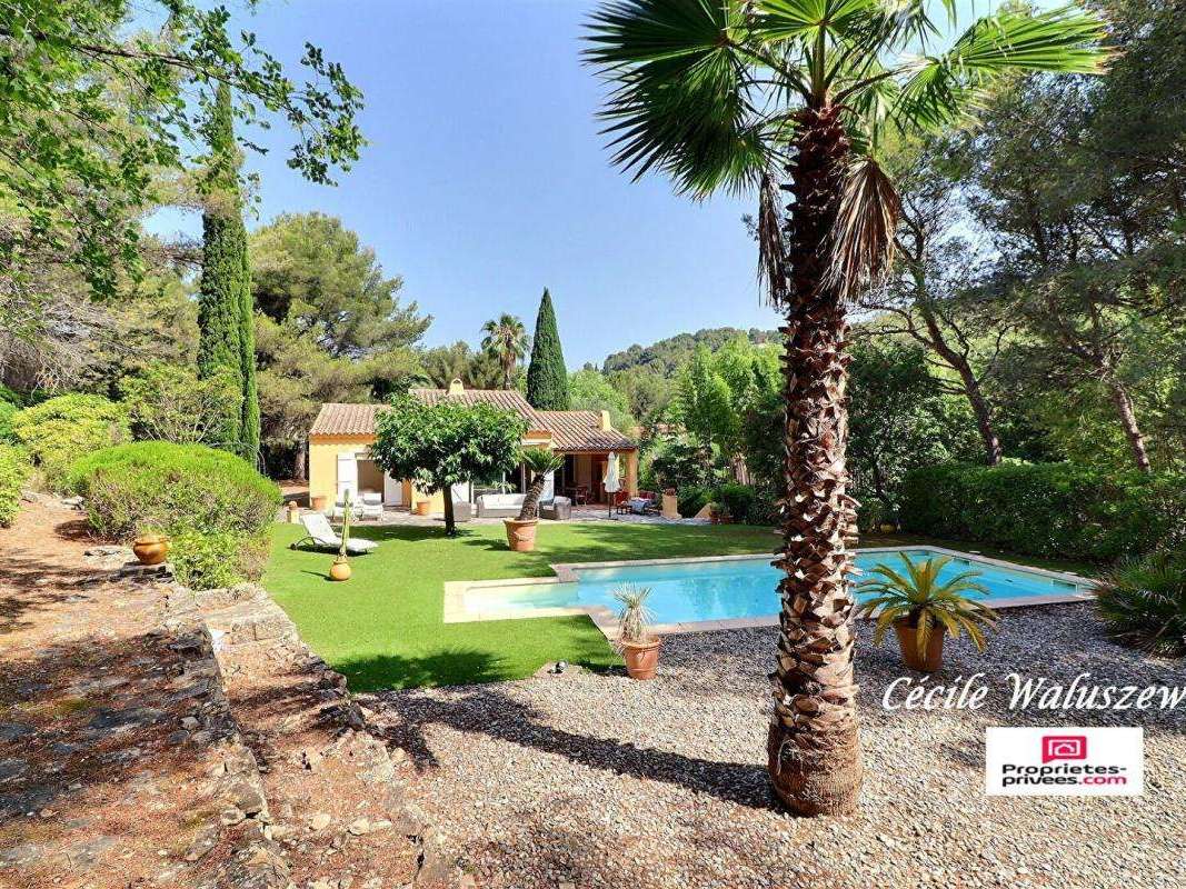 House Bandol