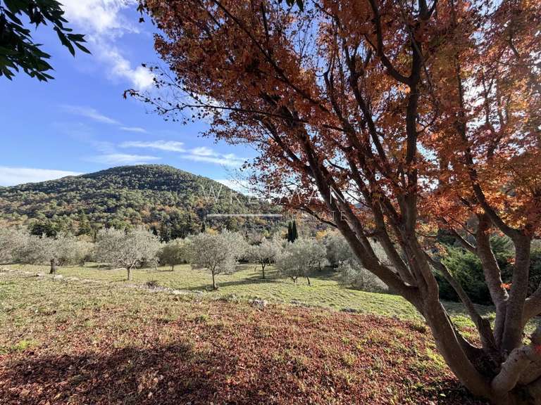 Maison Bargemon - 3 chambres - 174m²