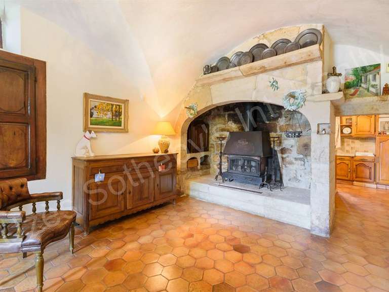 Castle Barjac - 10 bedrooms - 700m²