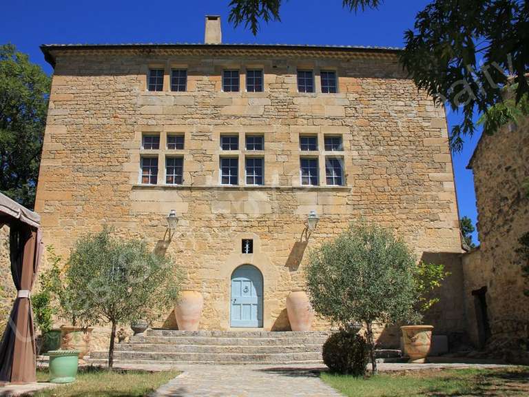 Castle Barjac - 10 bedrooms - 700m²