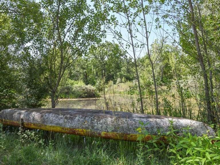 House Barjac - 6 bedrooms - 200m²