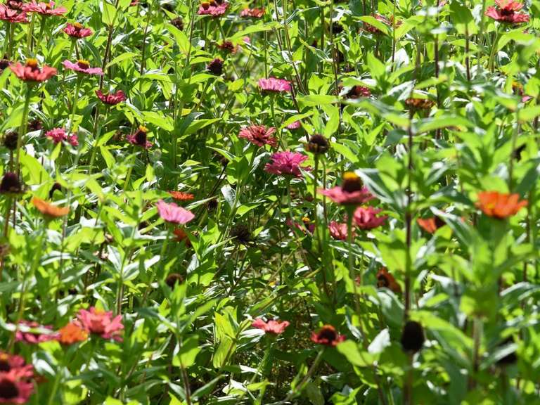 House Barjac - 6 bedrooms - 200m²