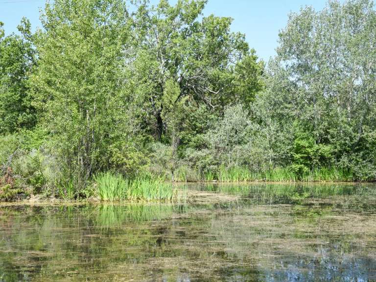 House Barjac - 6 bedrooms - 200m²