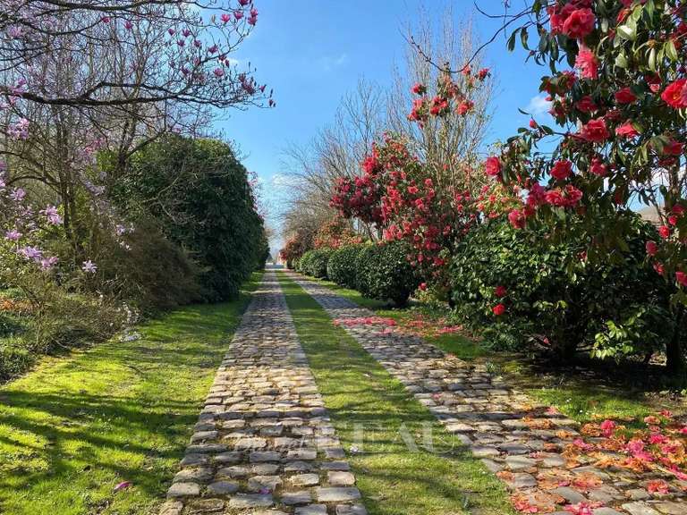 Maison Barneville-la-Bertran - 14 chambres - 1000m²