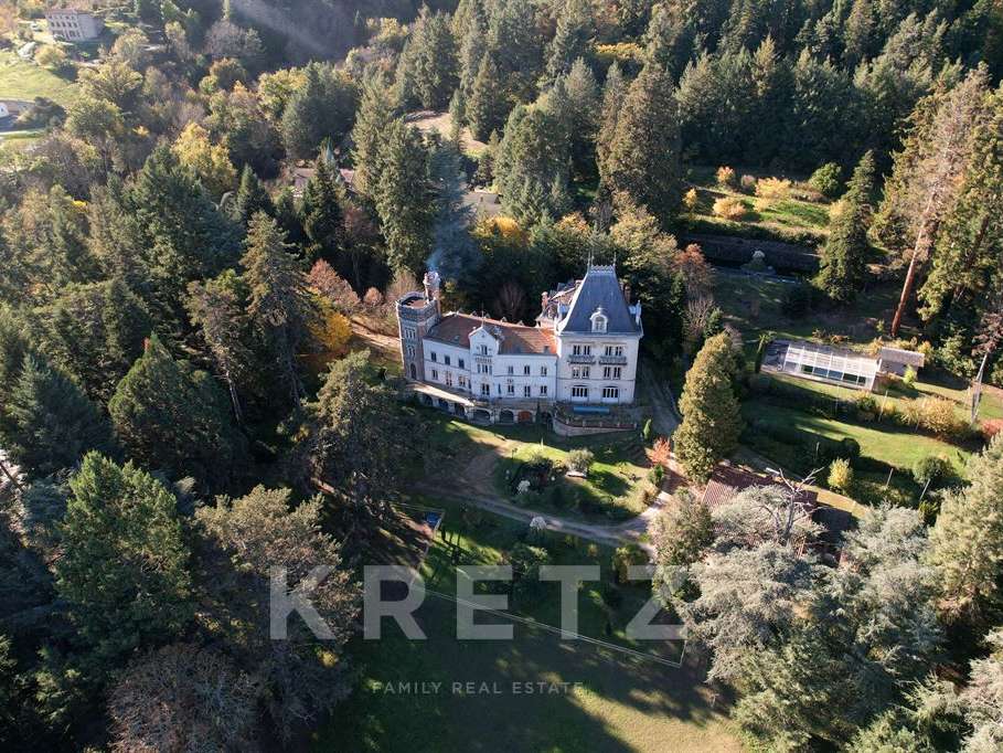 Château Bas-en-Basset