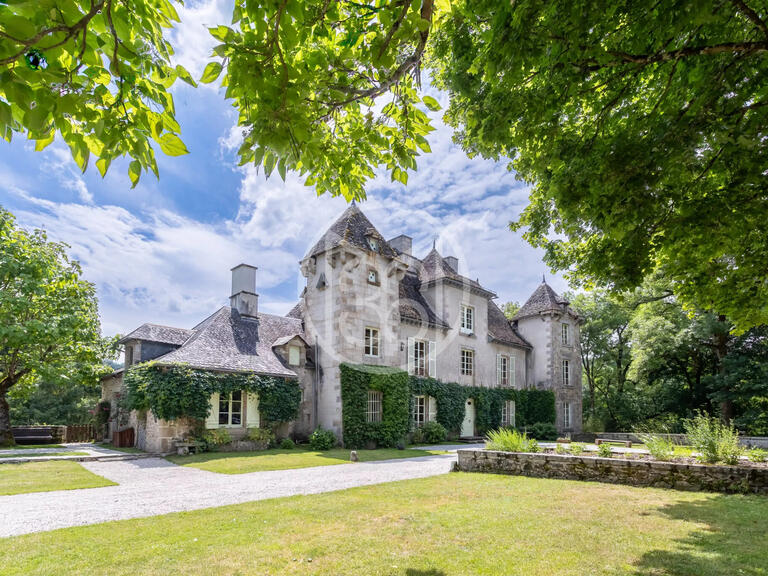 Vente Château Bassignac - 10 chambres