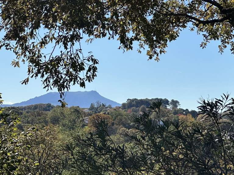 House Bassussarry - 4 bedrooms - 240m²