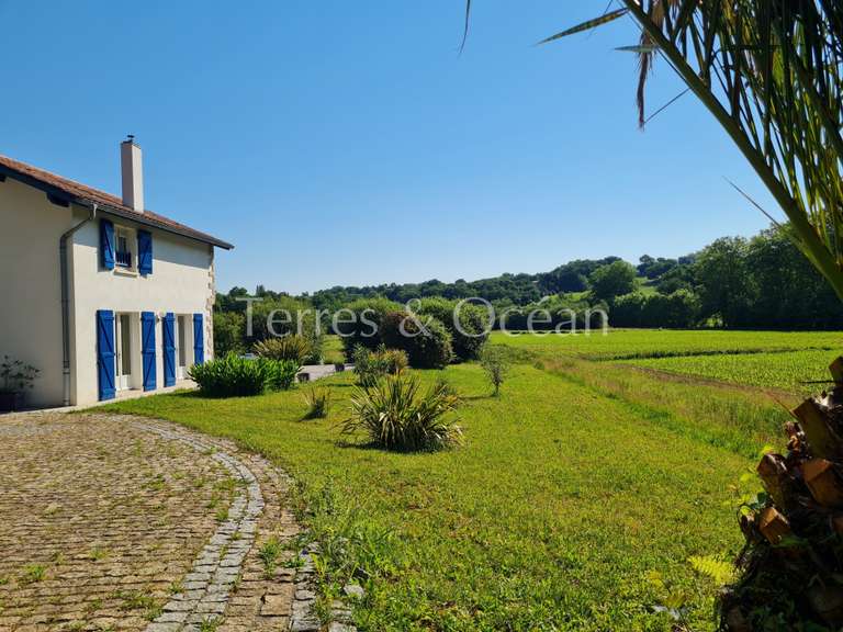 Maison Bassussarry - 4 chambres - 135m²