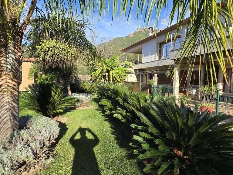 Maison Bastelicaccia - 360m²