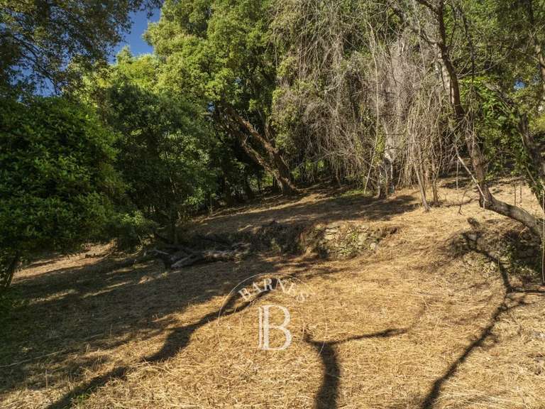 Terrain Bastia - 4000m²