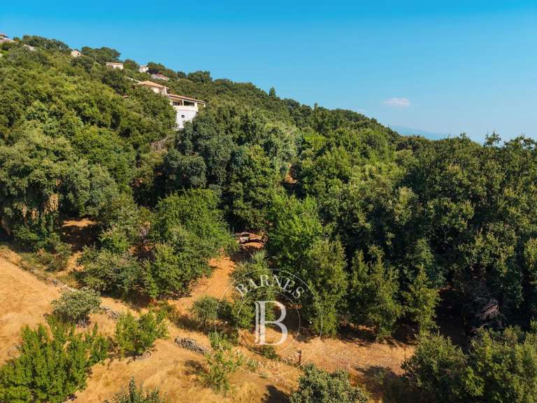 Terrain Bastia - 4000m²