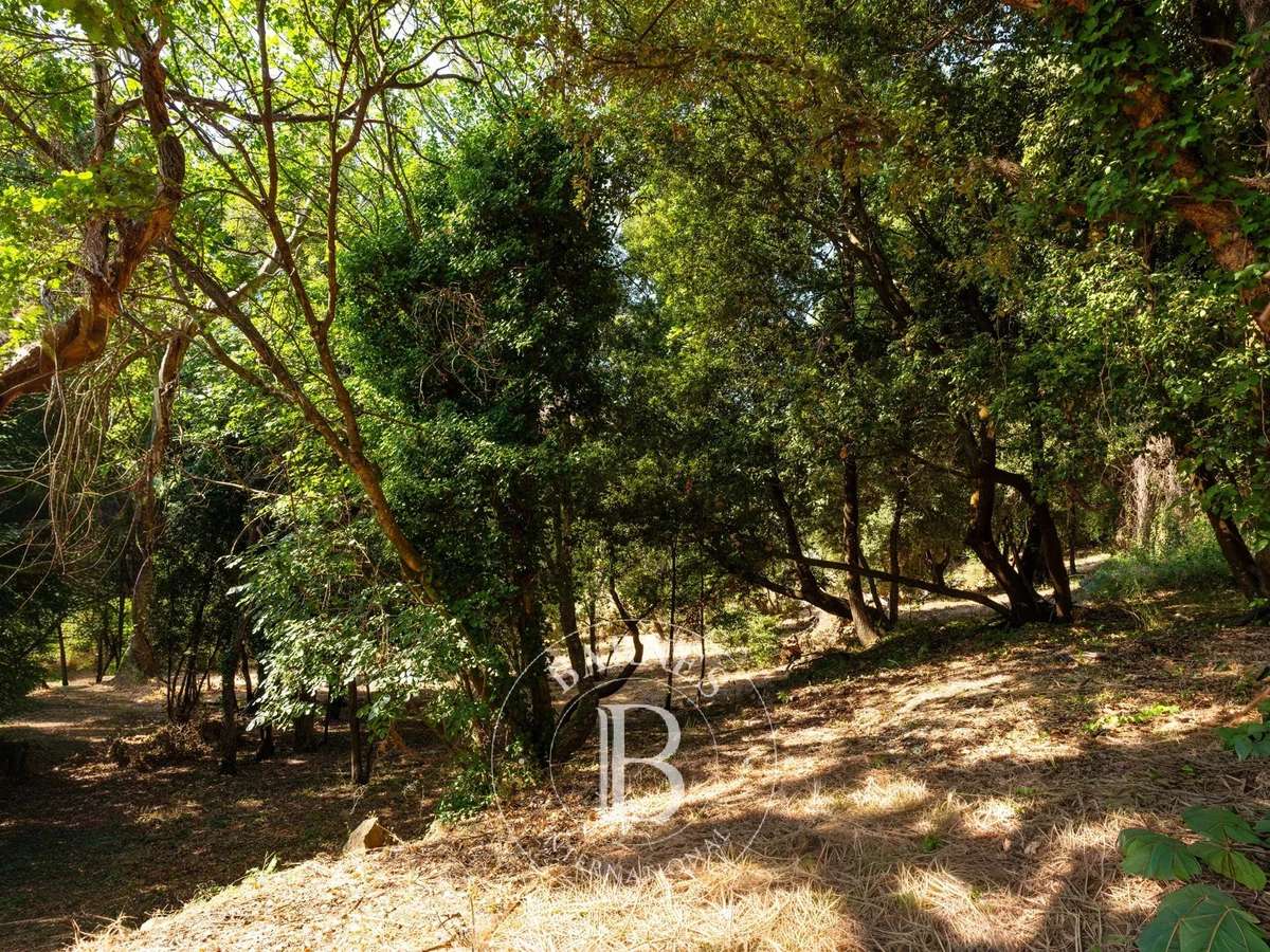 Terrain Bastia