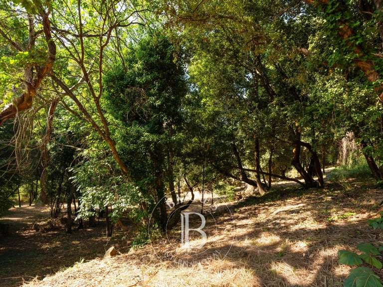Terrain Bastia - 4000m²
