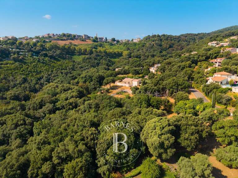 Terrain Bastia - 4000m²