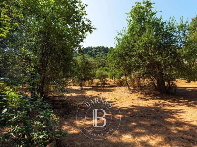 Terrain Bastia - 4000m²