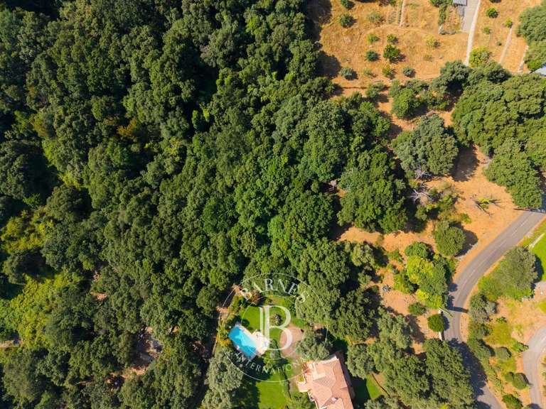 Terrain Bastia - 4000m²