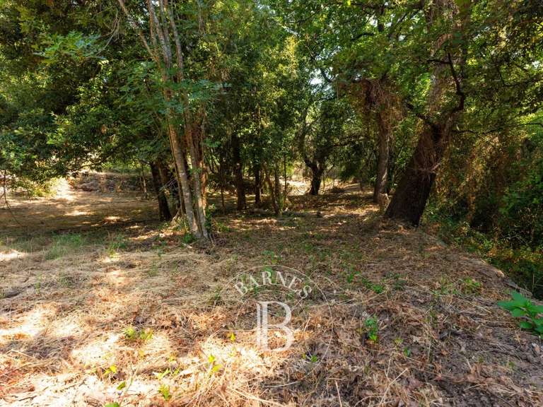 Terrain Bastia - 4000m²