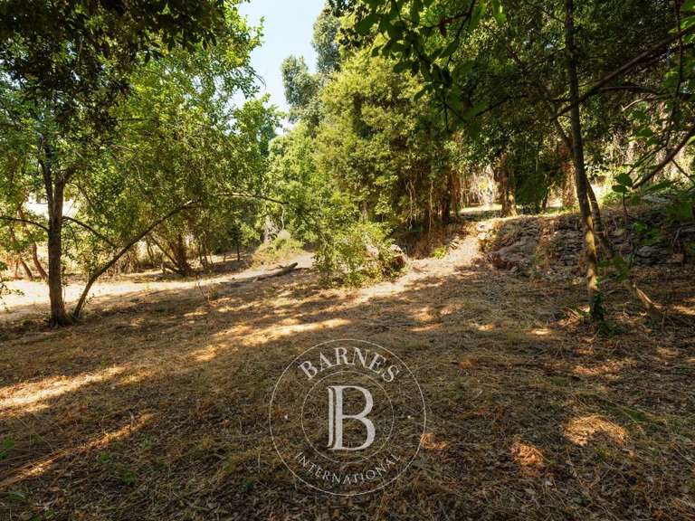 Terrain Bastia - 4000m²