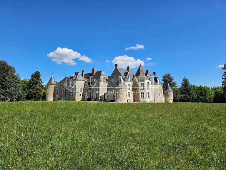 Château Baugé-en-Anjou - 11 chambres - 750m²