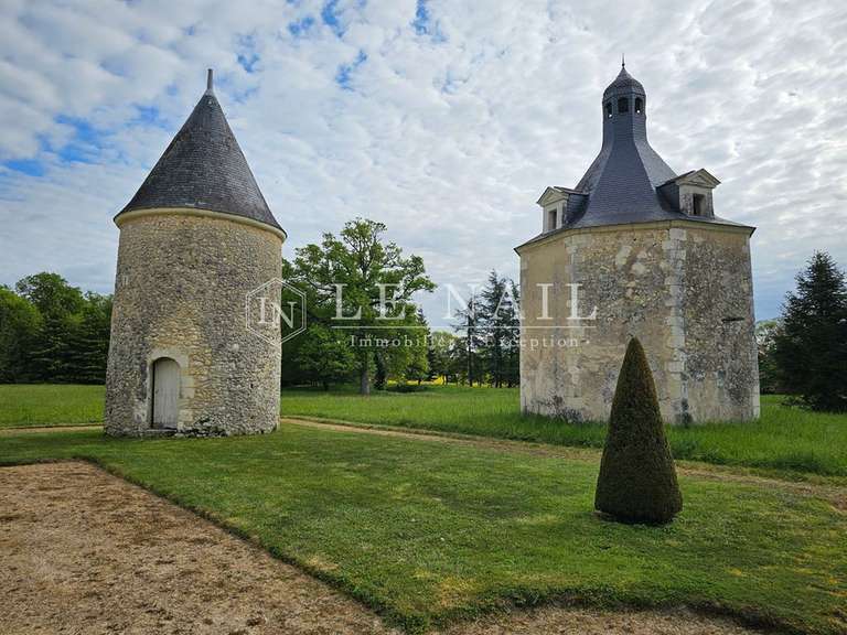 Château Baugé-en-Anjou - 11 chambres - 750m²