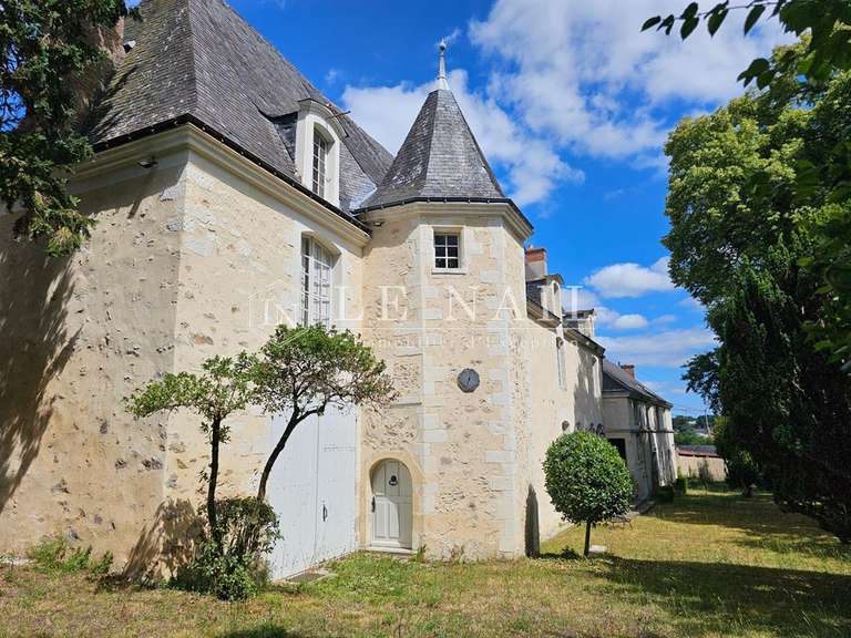 Manor Baugé-en-Anjou - 420m²