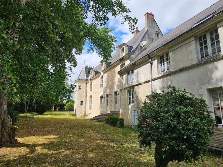 Manor Baugé-en-Anjou - 420m²