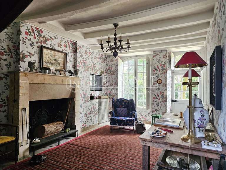 Manor Baugé-en-Anjou - 420m²