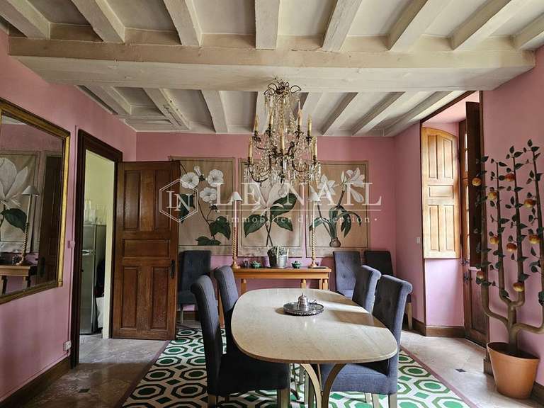 Manor Baugé-en-Anjou - 420m²