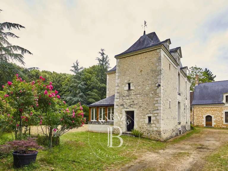 Propriété équestre Baugé-en-Anjou - 7 chambres - 570m²
