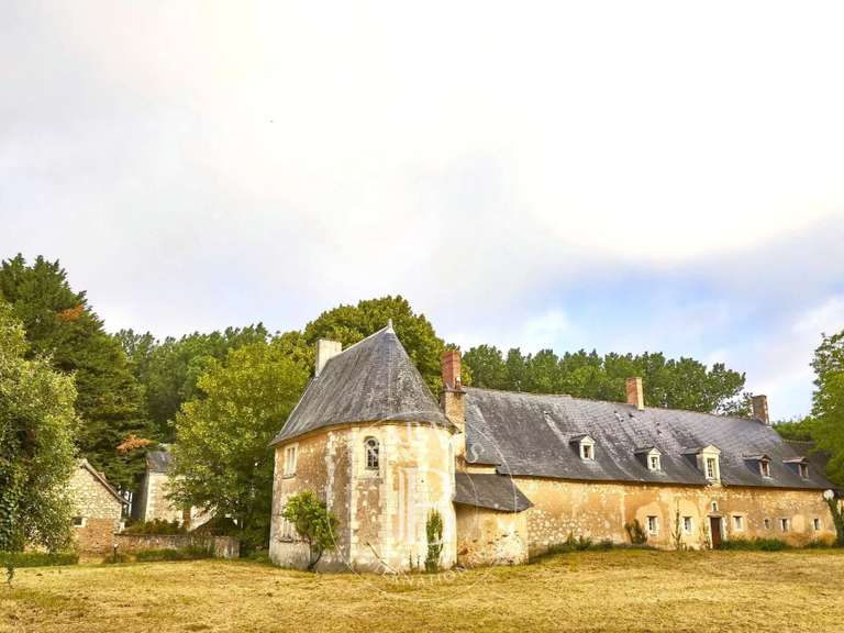 Propriété équestre Baugé-en-Anjou - 7 chambres - 570m²