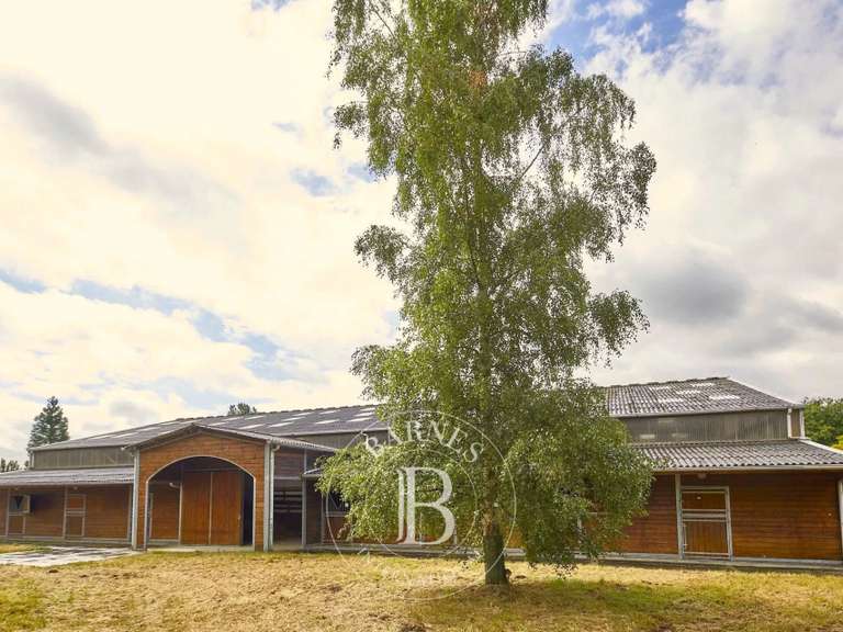 Propriété équestre Baugé-en-Anjou - 7 chambres - 570m²