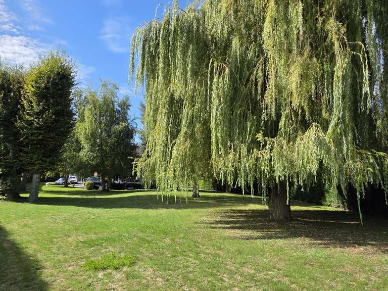 House Bauvin - 4 bedrooms - 216m²