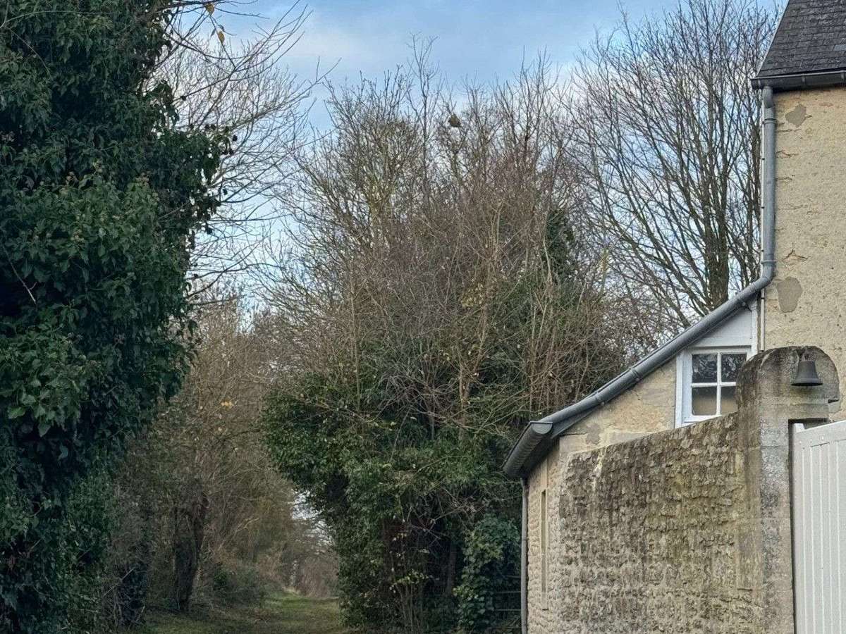 House Bayeux