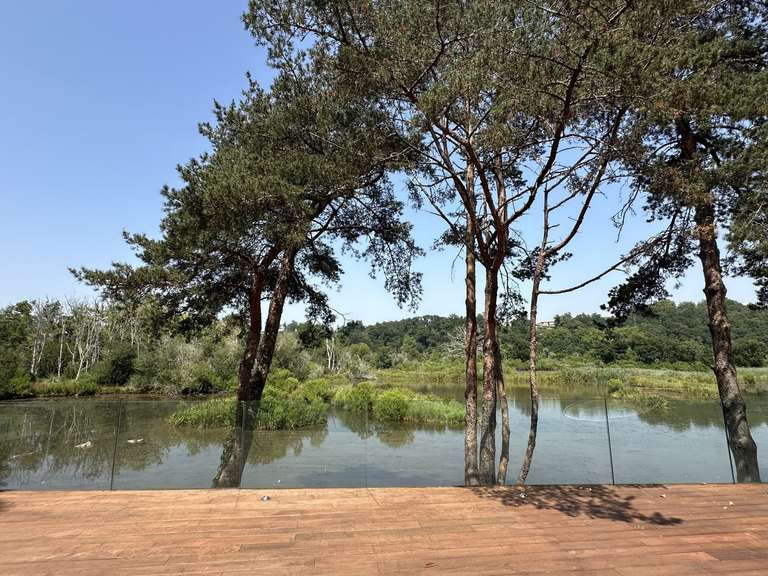 House Bayonne - 6 bedrooms - 322m²