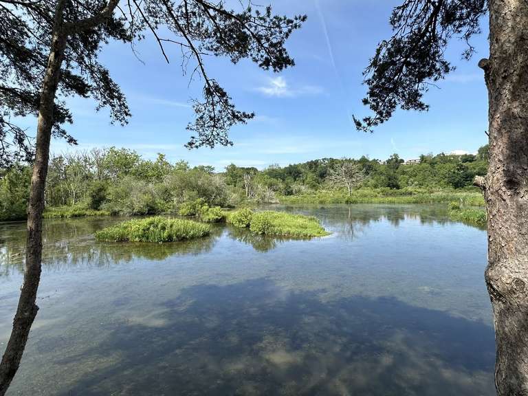 House Bayonne - 6 bedrooms - 322m²