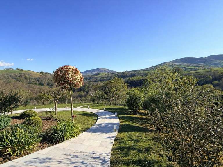 Maison Bayonne - 5 chambres - 338m²