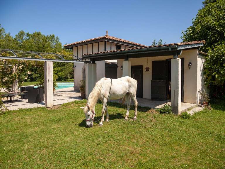Propriété Bayonne - 9 chambres - 450m²