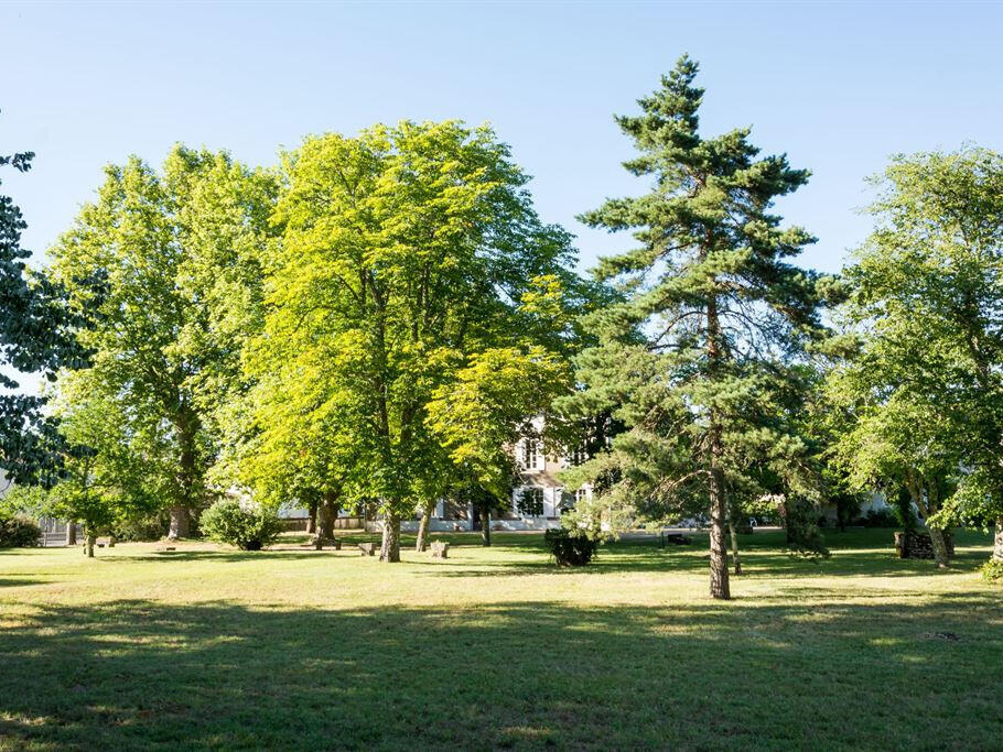 Maison Bazas