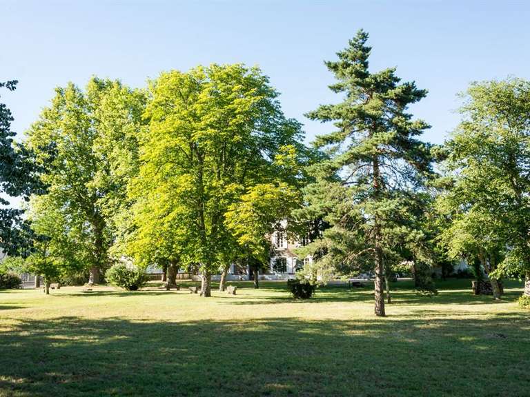 Maison Bazas - 5 chambres - 410m²