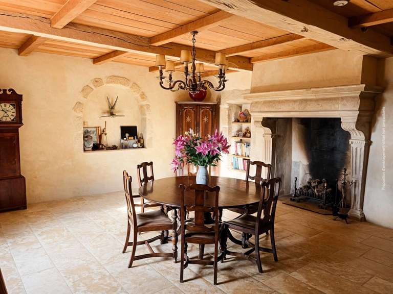 Château Bazian - 503m²