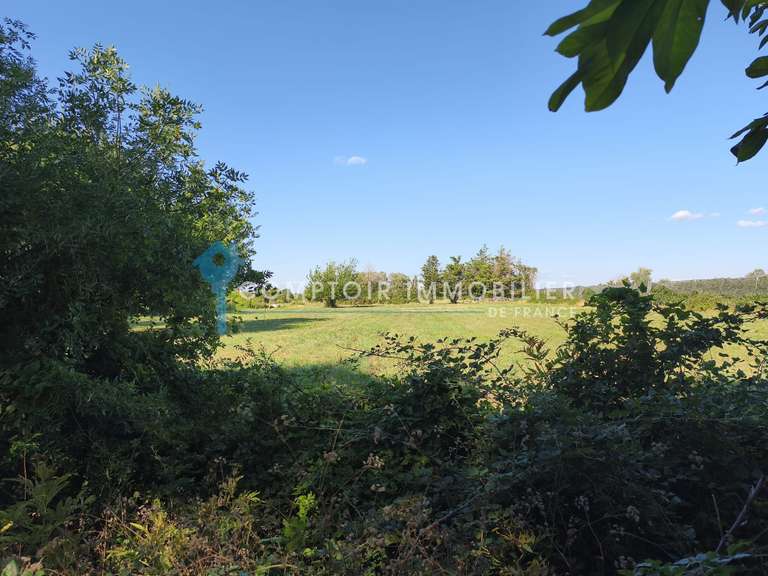 Maison Beaucaire - 8 chambres - 600m²