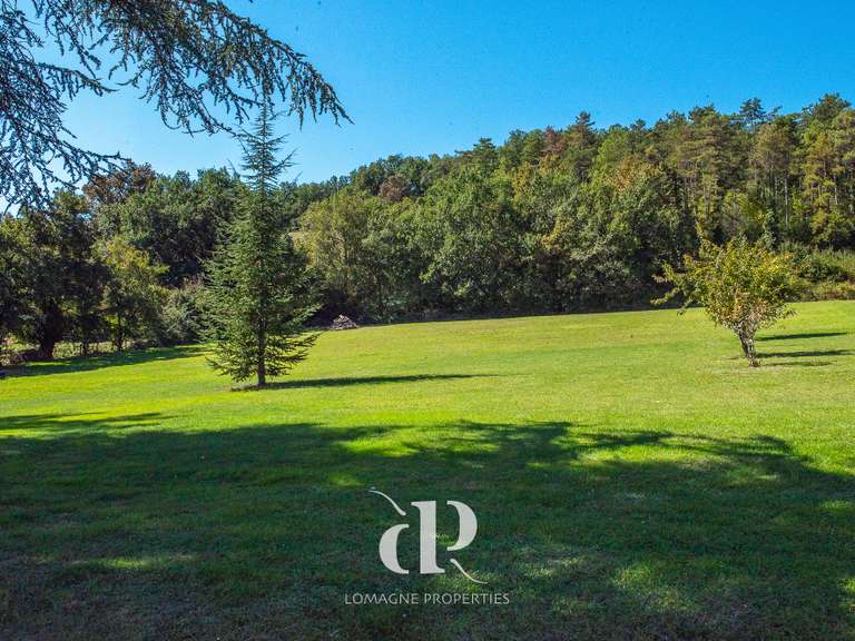 Maison Beaumont-de-Lomagne - 9 chambres - 500m²