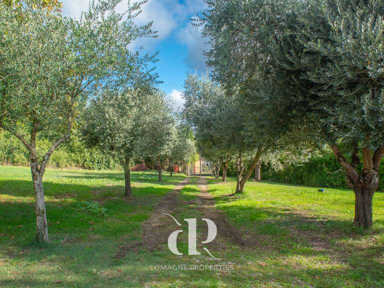 Maison Beaumont-de-Lomagne - 9 chambres - 500m²