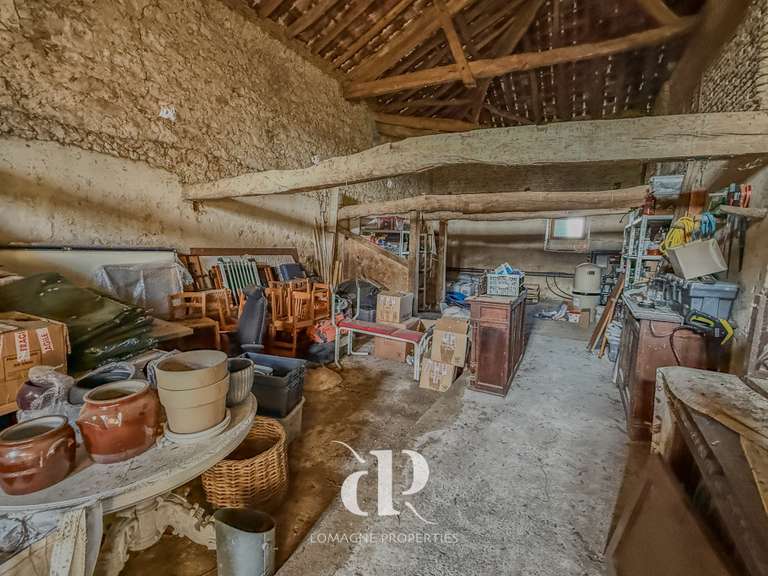 Maison Beaumont-de-Lomagne - 5 chambres - 284m²