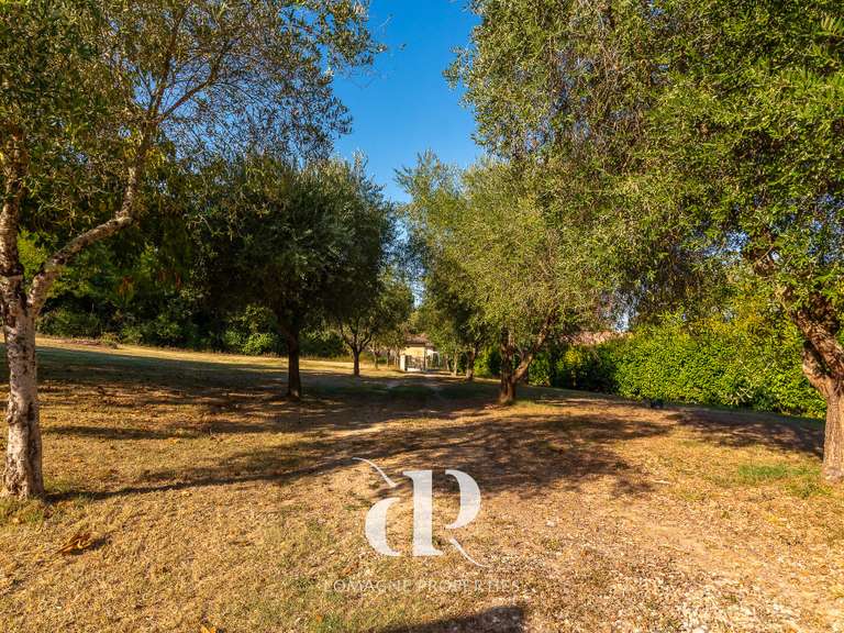 Maison Beaumont-de-Lomagne - 10 chambres - 500m²