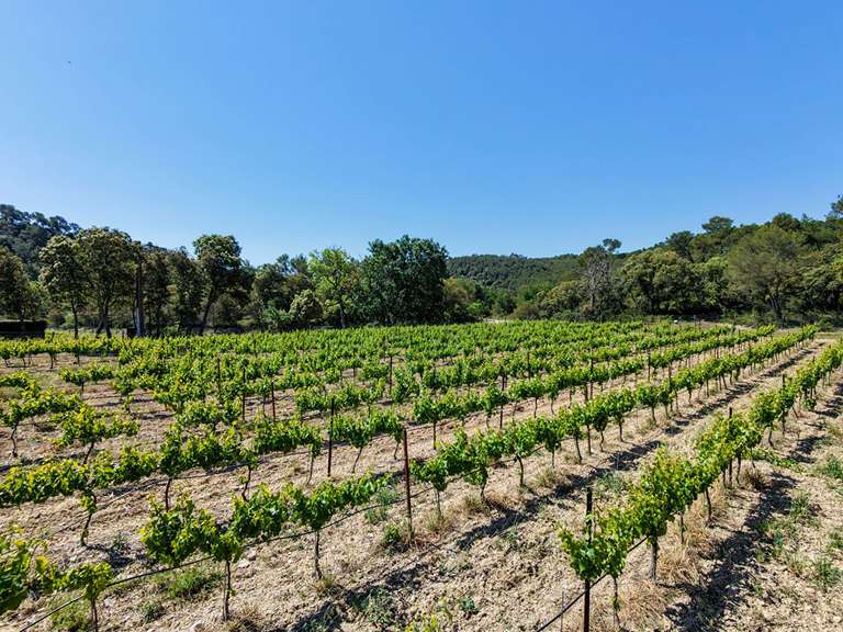 Propriété Beaumont-de-Pertuis - 7 chambres - 370m²