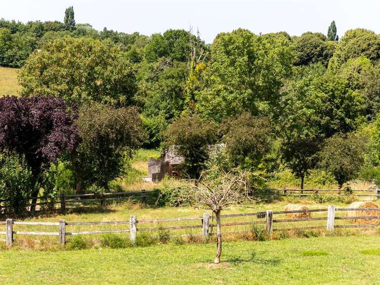 Maison Beaumont-en-Auge - 4 chambres - 290m²