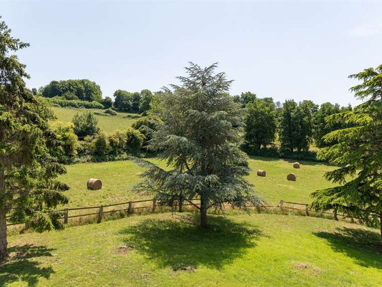 Maison Beaumont-en-Auge - 4 chambres - 290m²