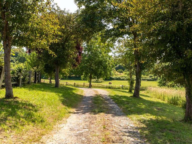 Maison Beaumont-en-Auge - 4 chambres - 290m²